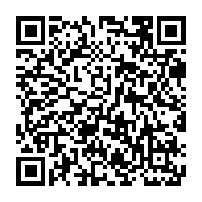 申込フォームQR