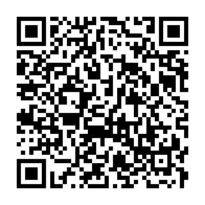 申込フォームQR