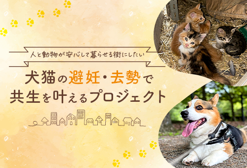 人と動物が安心して暮らせる街にしたい