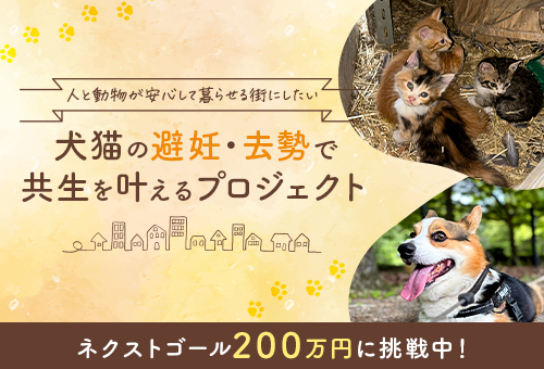 ネクストゴール挑戦中!人と動物が安心して暮らせる街にしたい