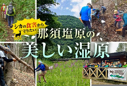 シカの食害から美しい湿原を守りたい