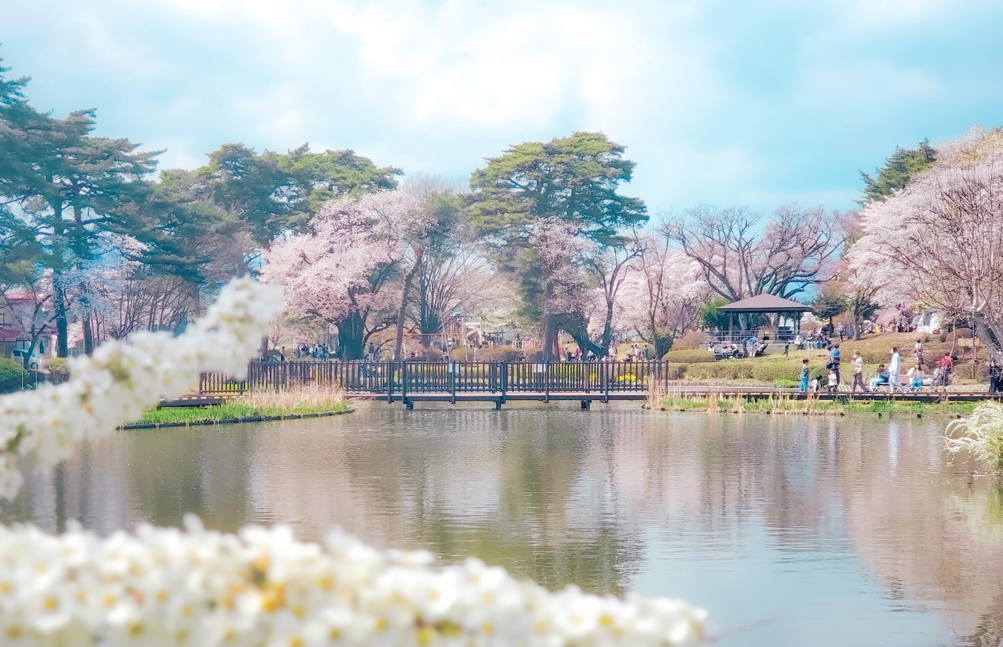 烏ヶ森公園