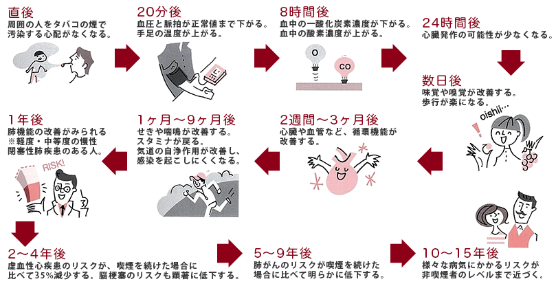 禁煙の効果（厚生労働省eヘルスネット）