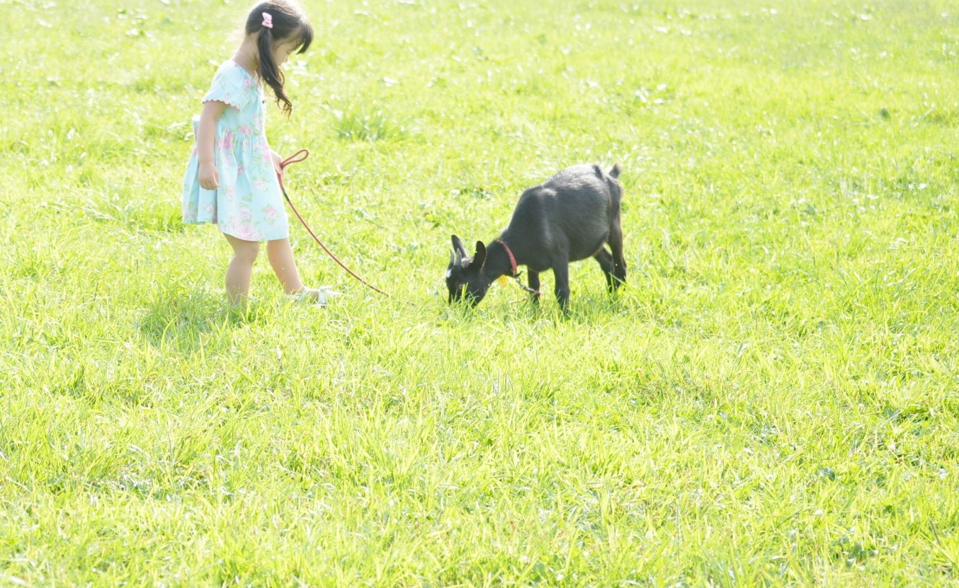 やぎさんとお散歩