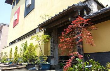 上会津屋の紅葉した木と正面入口を撮影した外観の写真