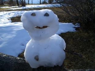 市道に積もった雪で作られたゆきだるまの写真