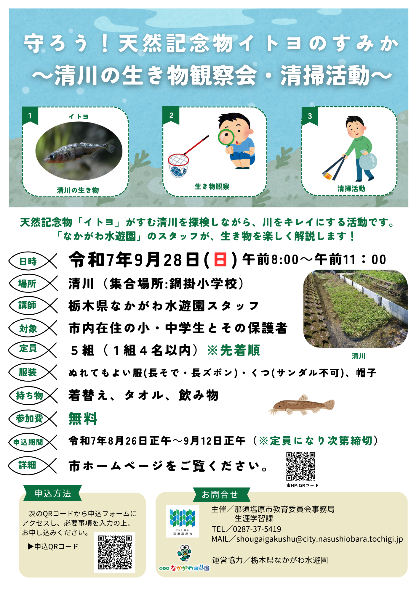 イトヨチラシ