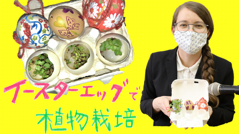 イースターエッグで植物栽培