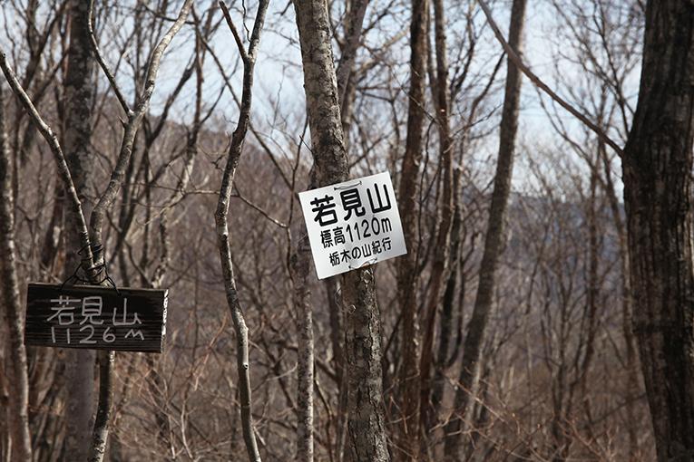 沢山の木々の中に「若見山」と書かれた白い看板の写真