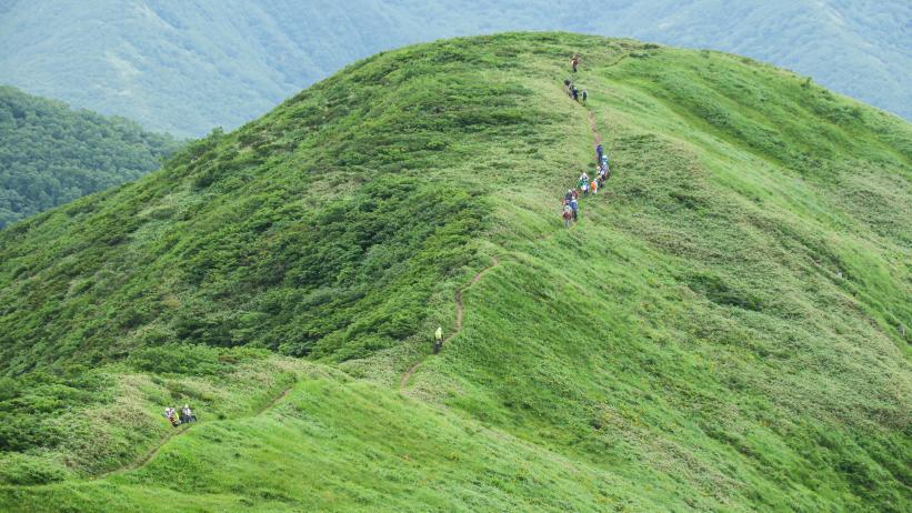 流石山から見た大峠山の頂上の写真
