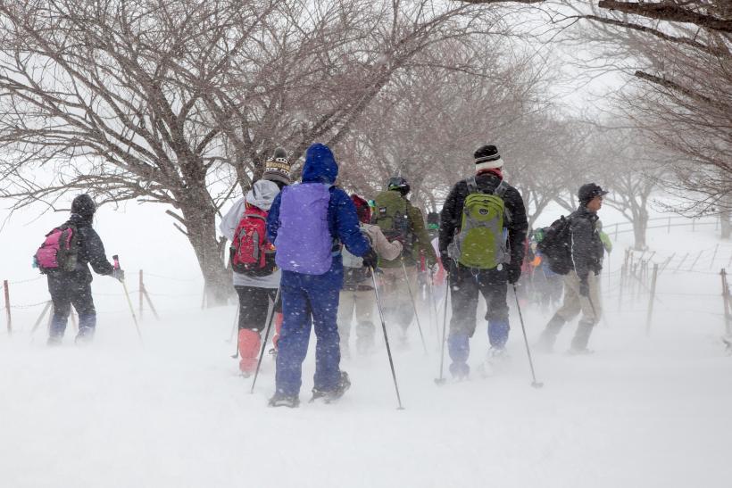 降り続く雪の中を黙々と歩く参加者たちの写真