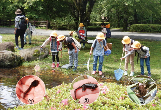 子どもたちが、池の中に虫取り網を入れている写真