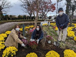 ぽっぽ通り花の会1