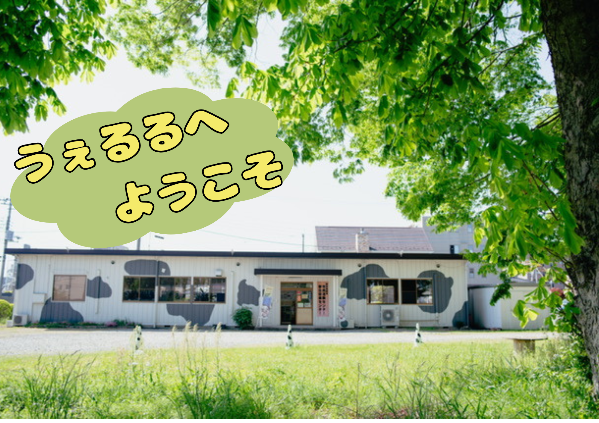市民活動センターうぇるるへようこそ