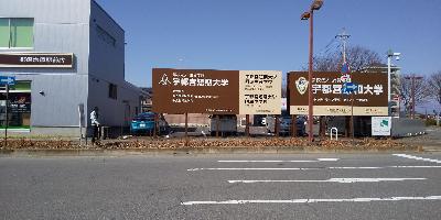 バラ5