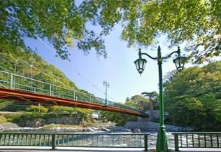 青空の下で木々に囲まれている、床の赤い山ゆりの吊橋の写真