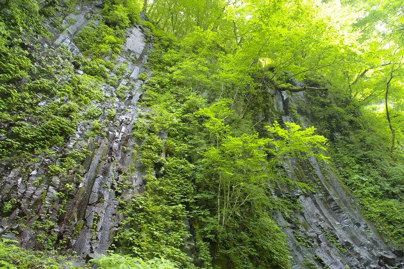 薙刀岩を下から見上げた写真。岩肌には柱状節理特有の均等に縦に裂けた亀裂の数々が確認できる