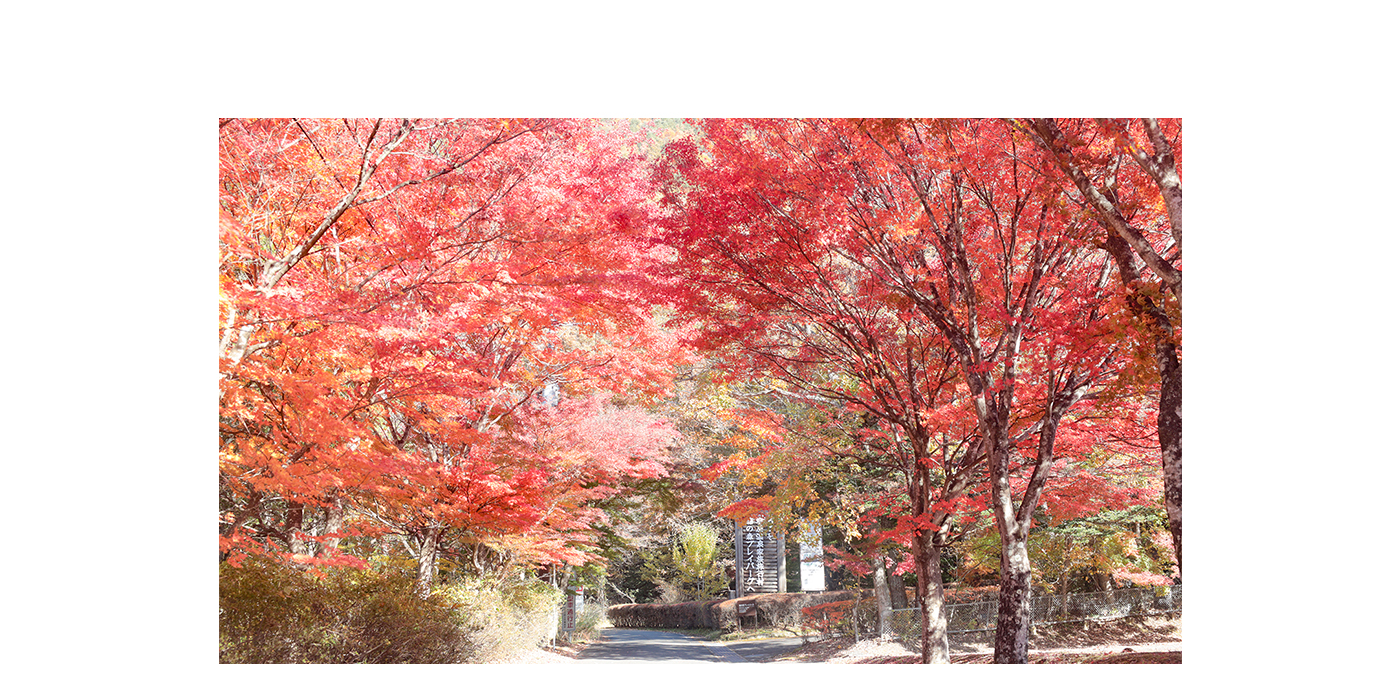 塩原箱の森プレイパーク入口の紅葉