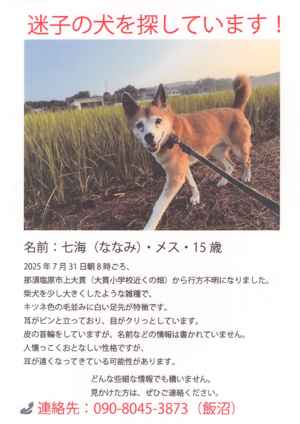 いぬ　上大貫