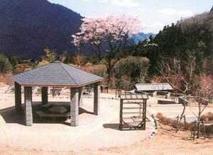 近くに桜の木があり、椅子とテーブルと屋根のある休憩所の写真