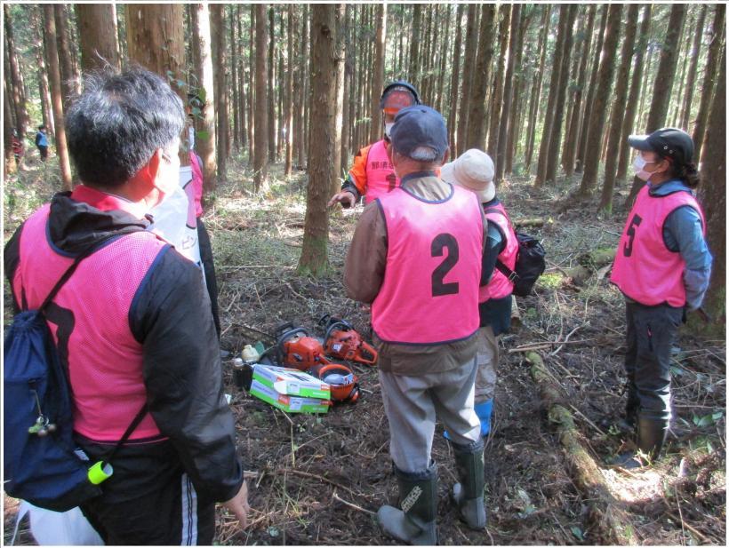 ピンクのゼッケンを着て木々を観察する参加者の写真