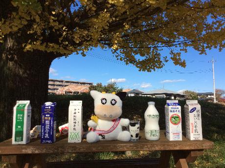 みるひぃのぬいぐるみの横に那須塩原市で生産された牛乳7つを並べて撮影した写真
