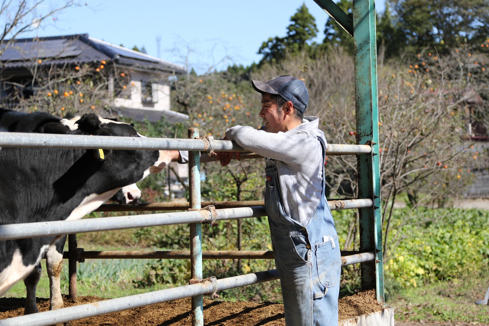 牛を見つめる荒井さん