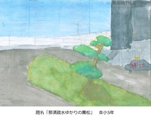 那須疏水ゆかりの黒松