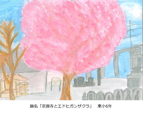 宗源寺とエドヒガンザクラ
