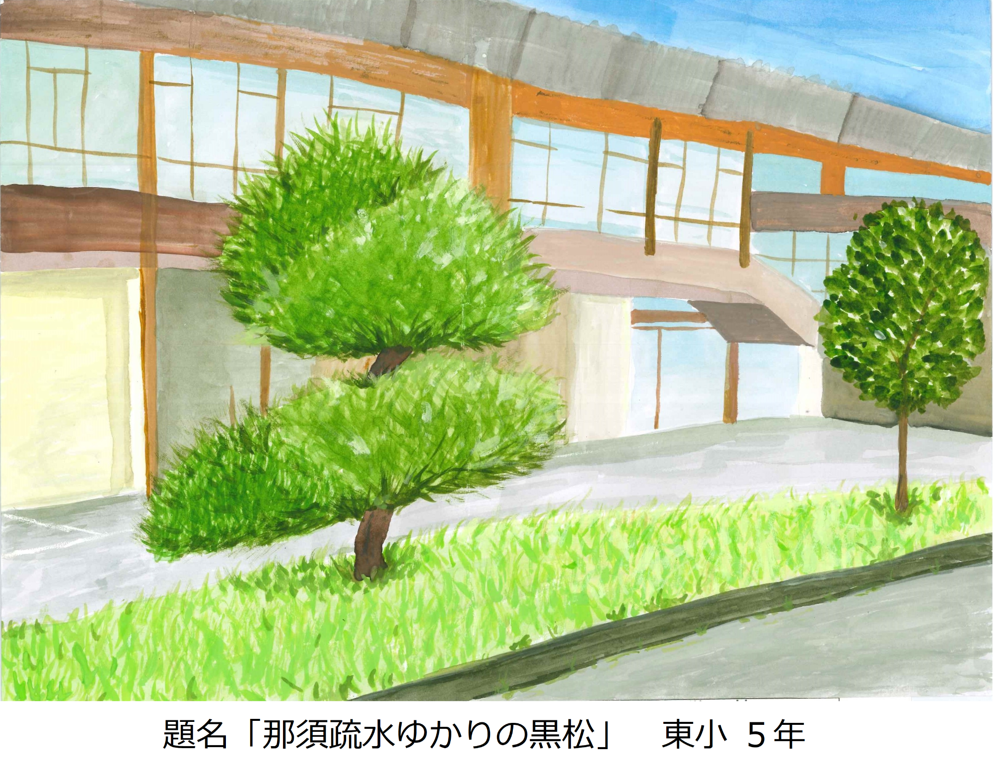 那須疏水ゆかりの黒松