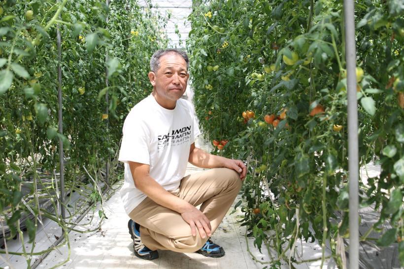 自作したトマト畑で成っているトマトと栽培している高松英樹さんの写真