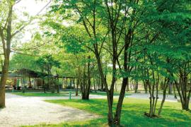 たくさんの樹木が生い茂っている合同会社セントーに所属する那須高原オートキャンプ場の写真