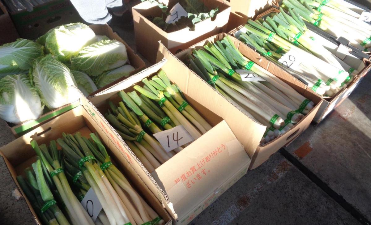 初競りにかけられるネギなどの野菜が箱に入っている