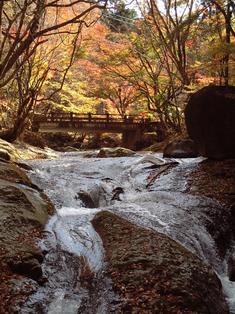 岩肌を流れている渓流と紅葉の写真