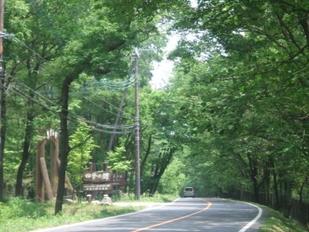 緑の木々に囲まれた主要地方道矢板那須線の写真