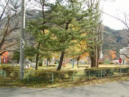 柵の中に大きな木々がある八汐第一公園の写真
