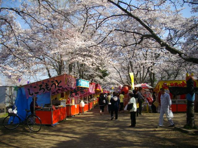 様々な出店が桜並木沿いに並んでいるさくら祭の写真
