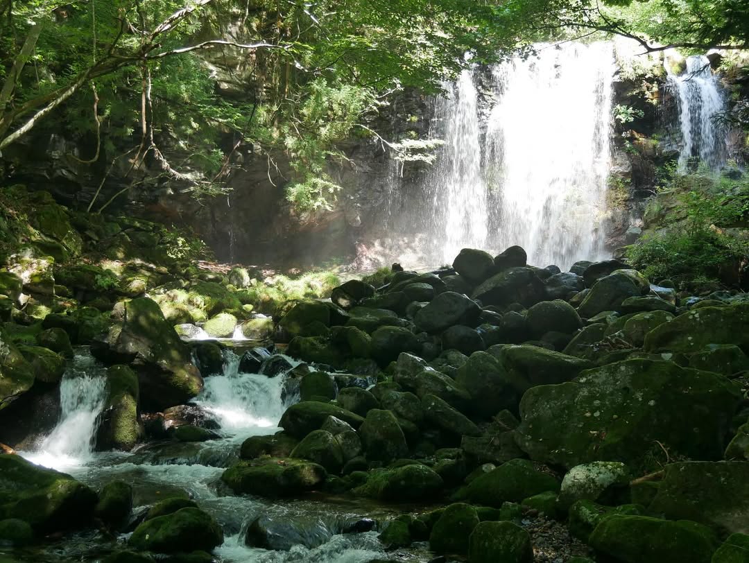 行く川の流れ
