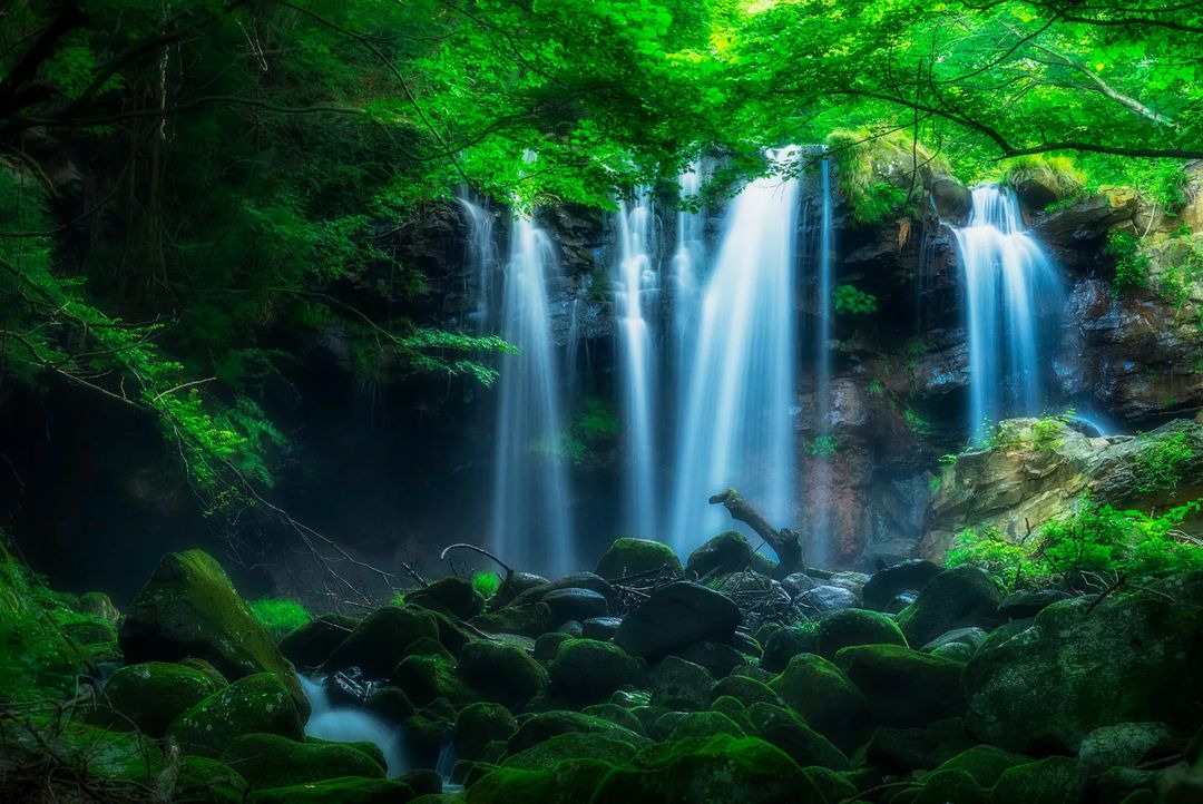 那須の緑を育てる自然のシャワー