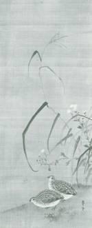 2羽の鶉(うずら)に、画面中央に伸びた1本のすすきと野菊を配した構図の絵の写真