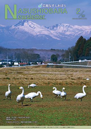 広報なすしおばら2月20日号表紙「寺子に飛来した白鳥たち」