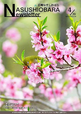 広報なすしおばら4月20日号表紙「桜とメジロ」