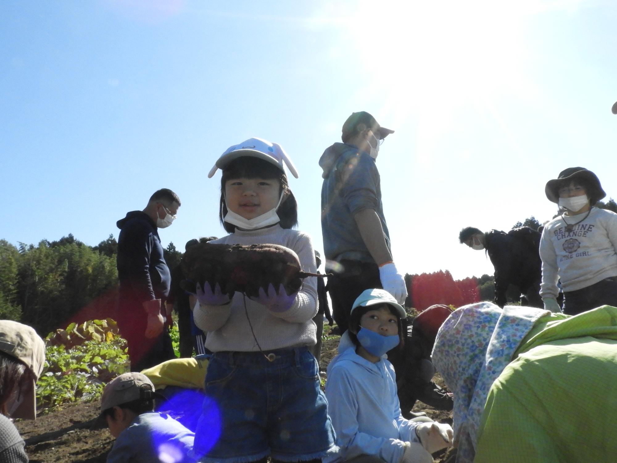 第3回お野菜くらぶサツマイモ収穫3