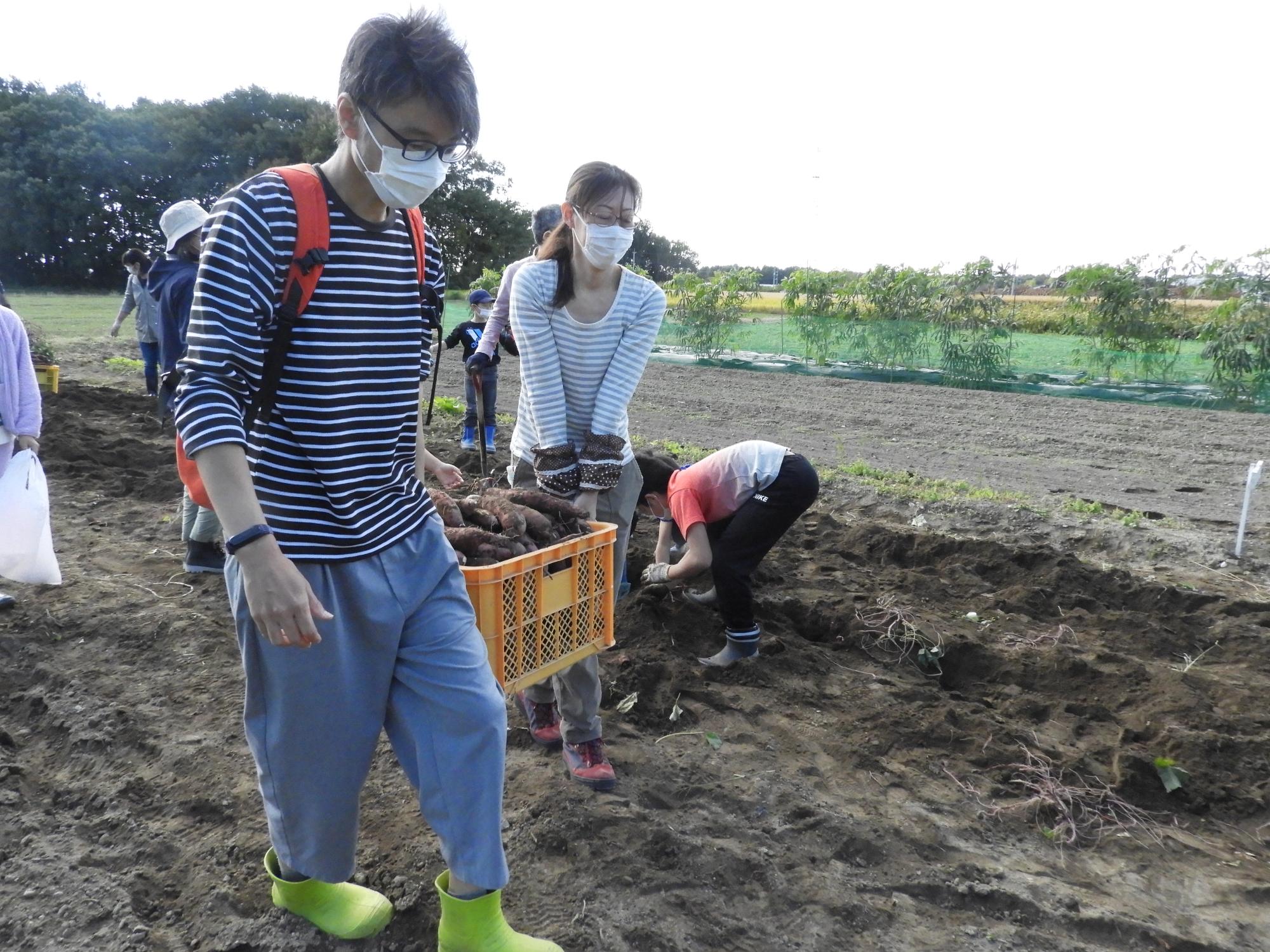 第3回お野菜くらぶサツマイモ収穫2