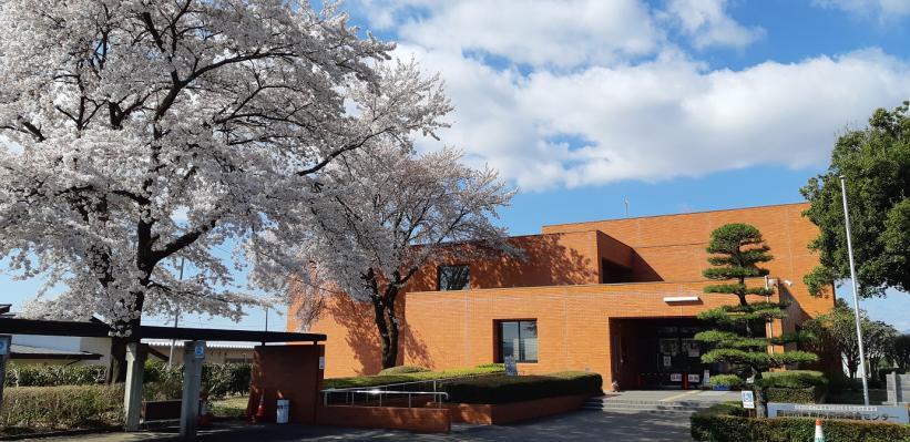 満開の桜と橙色の壁面の厚崎公民館の写真