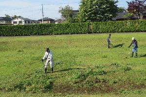 稲村コミュニティによる草刈り