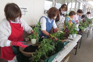 やしお学級初回講座の寄せ植えの様子