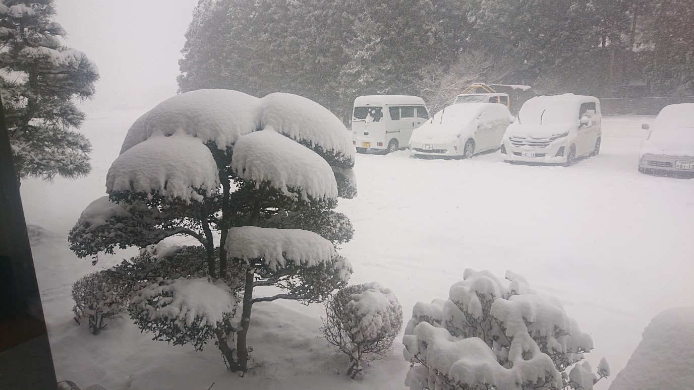 駐車場も雪景色