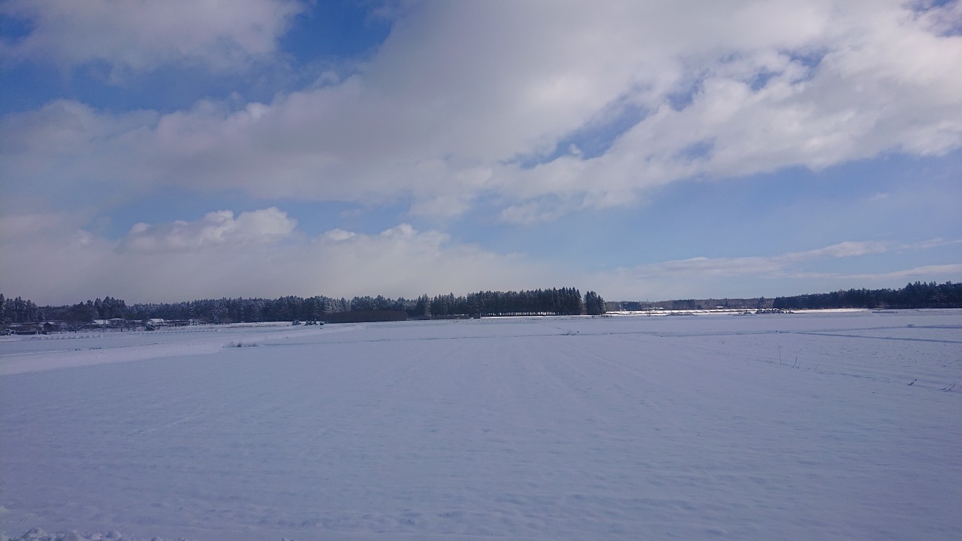 公民館シェアスペースからの牧草畑（雪景色）