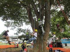 2025うぇるるフェスタツリークライミング